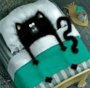 Фотография Veneta Bottega