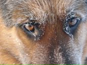 Фотография Котовой Марины