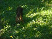 Фотография Нуховой Марины