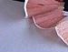 Саша Блінов фотография #12 (источник - https://vk.com/id87619940)