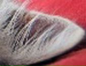 Анастасия Солдатова фотография #28 (источник - https://vk.com/id10623)