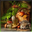 Фотография Кузнецовой Натальи