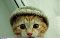 Фотография Султановой Екатерины