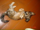 Иван Андреев фотография #42 (источник - https://vk.com/id2534545)