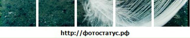 Настусічка Чіківчук фотография #4 (источник - https://vk.com/id96759915)