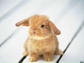 Юля Краєвська фотография #28 (источник - https://vk.com/id120061763)