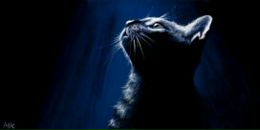 Фотография Синициной Евгении