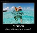 Віталік Скопик фотография #46 (источник - https://vk.com/id27872894)