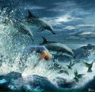 Фотография Ивановой Асиет