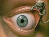 Фотография Северной Саши