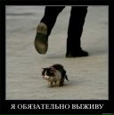 Вітя Горішний фотография #19 (источник - https://vk.com/id55297136)