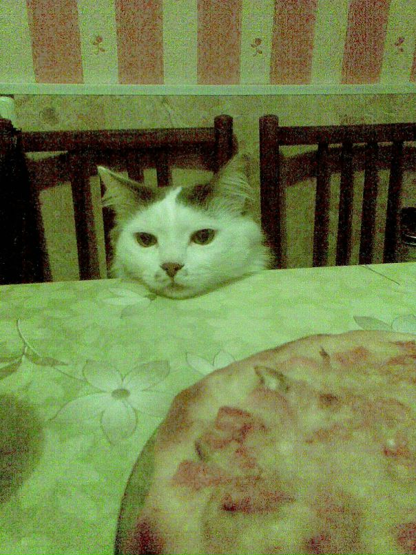 Andre Luis фотография #8