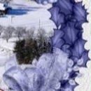 Іра Салдак(шапошник) фотография #46 (источник - https://vk.com/id117133396)