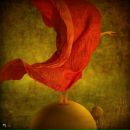 Фотография Тукбаевой Эльмиры