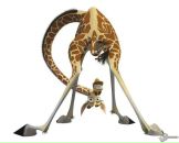 Фотография Аристовой Марины