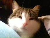 Фотография Злыгостева Петра