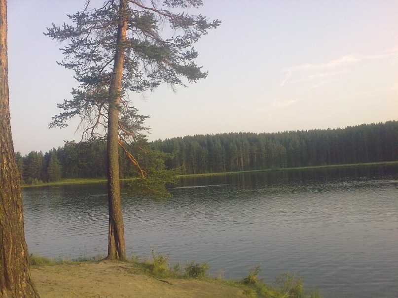 Коля Уланкин фотография #41