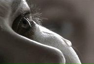 Фотография Старостиной Ирины