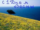Фотография Соседенко Артёма
