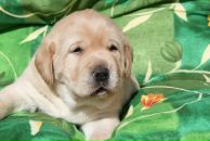 Фотография Севериновой Инны