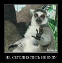 Anton Semin фотография #14 (источник - https://vk.com/id3362771)