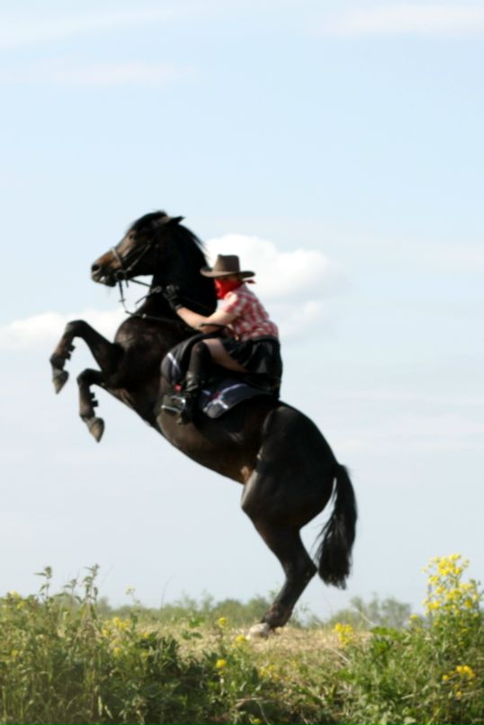 Дмитрий Поташев фотография #35