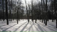 Девид Паркер фотография #2 (источник - https://vk.com/id4767619)