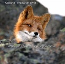 Фотография Репниковой Елены