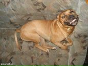 Андрій Хам фотография #25 (источник - https://vk.com/id91414278)