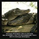 Фотография Косинец Кати