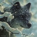 Андрій Нагорний фотография #37 (источник - https://vk.com/id163825917)