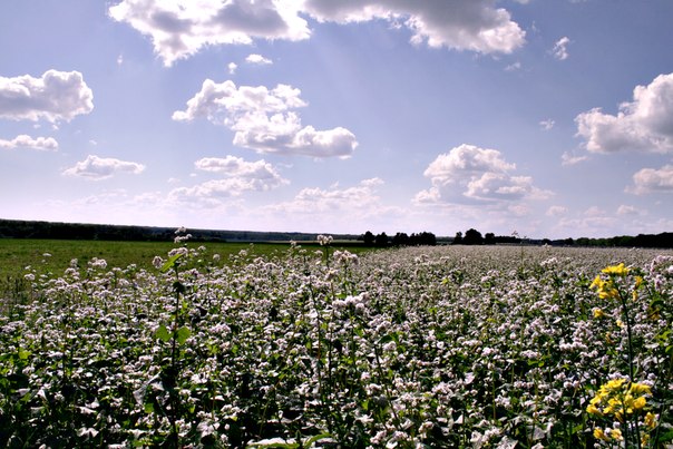 №10, Ксения Шешукова, Новосибирск, Россия №10, Ксения Шешукова, Новосибирск, Россия