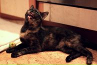 Фотография Lle Lou