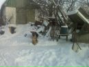 Олександр Борківець фотография #3 (источник - https://vk.com/id139220660)