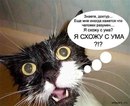Вітуся Сторчак фотография #32 (источник - https://vk.com/id166223898)