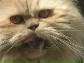 Андрій Комар фотография #36 (источник - https://vk.com/id116743173)