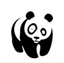 Сергей Розанов фотография #7 (источник - https://vk.com/id1659207)