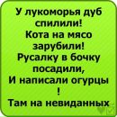 Віталіна Кальченко фотография #34 (источник - https://vk.com/id144253033)