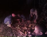 Сергій Ютовець фотография #28 (источник - https://vk.com/id26547339)