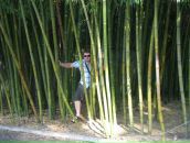 Николай Лещенко фотография #33 (источник - https://vk.com/id248869)