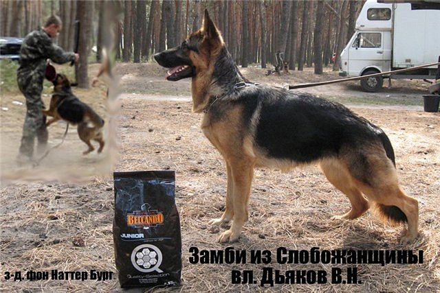 Игорь Феденко фотография #13