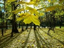 Фотография Джулакян Тигран