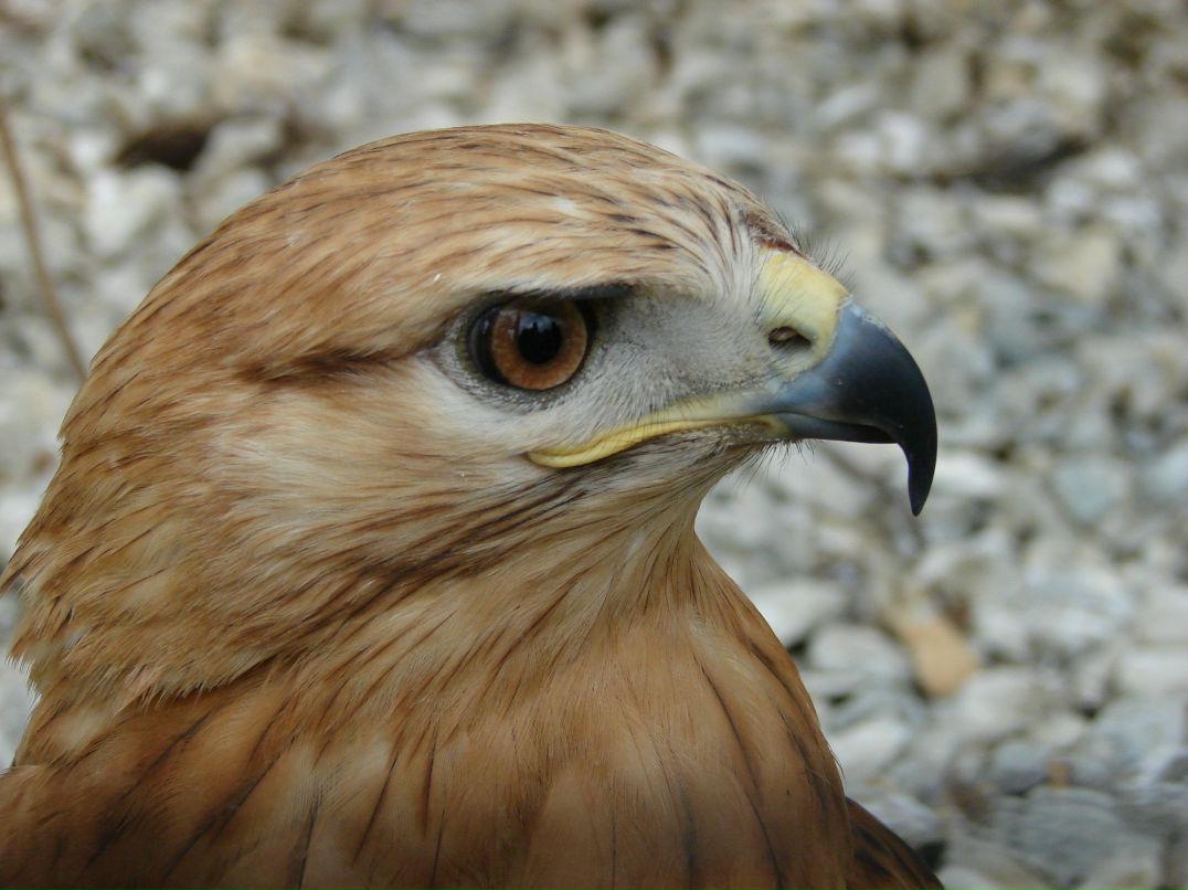 Константин Черников фотография #15