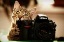 Фотография Кирилловой Валентины