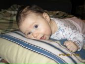 Фотография Гачегова Алексея