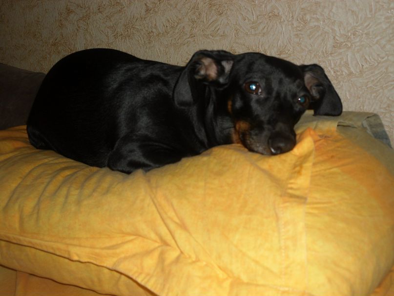 ...н@т@лья... ************** фотография #10