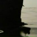 Тарас Бабич фотография #15 (источник - https://vk.com/id143540274)