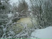 Іштван Сюч фотография #31 (источник - https://vk.com/id33309332)