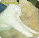 Фотография Буйновой Юли