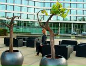 Фотография Нюхиной Татьяны